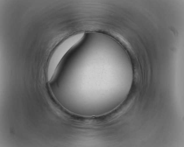 X0000114220493200910231446