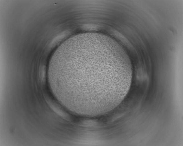 X0000114220494200910231446