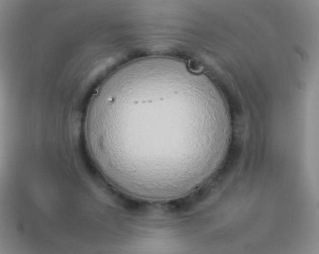 X0000114220495200910231446