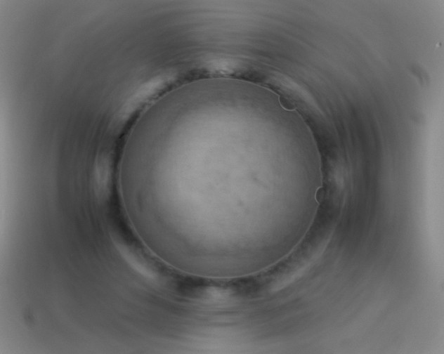 X0000114220496200910231446