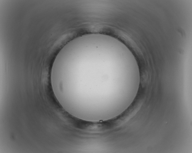 X0000114220497200910231446