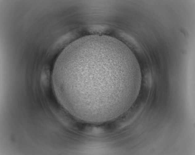 X0000114220498200910231446