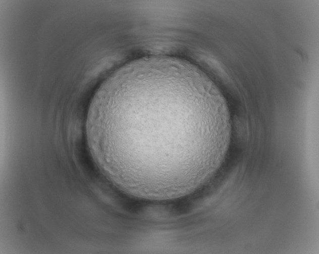 X0000114220499200910231446