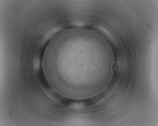 X0000114220500200910231446