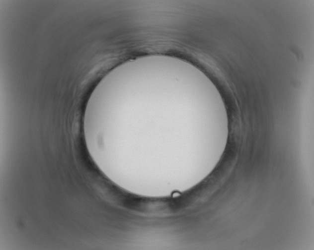 X0000114220501200910231446