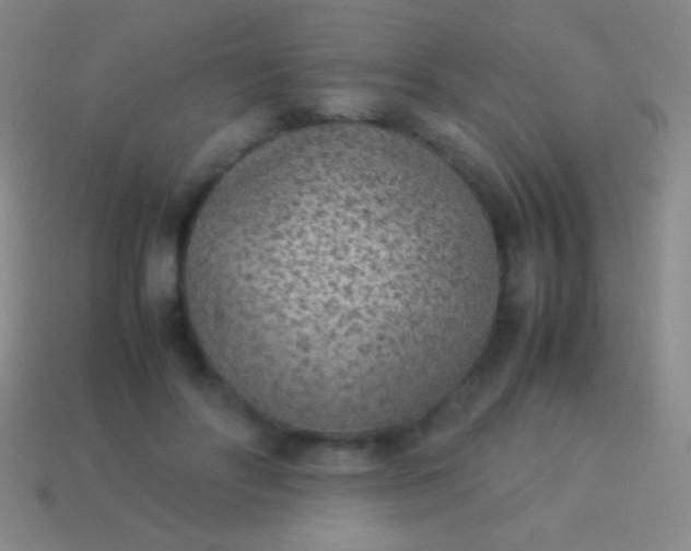 X0000114220502200910231446