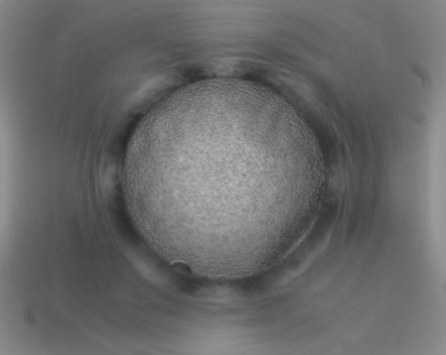 X0000114220503200910231446