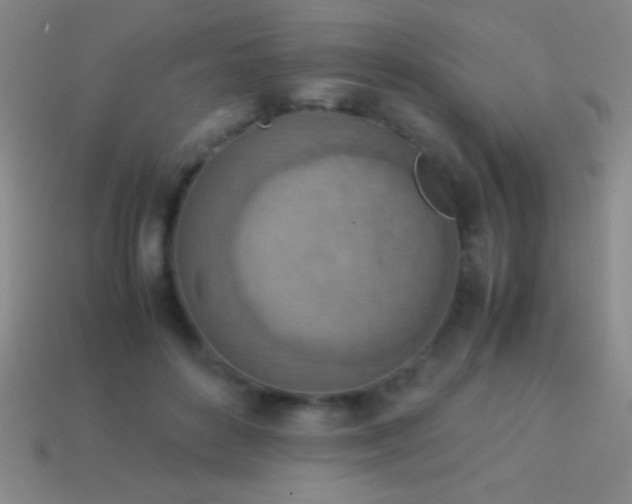 X0000114220504200910231446