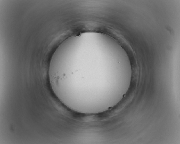 X0000114220505200910231446