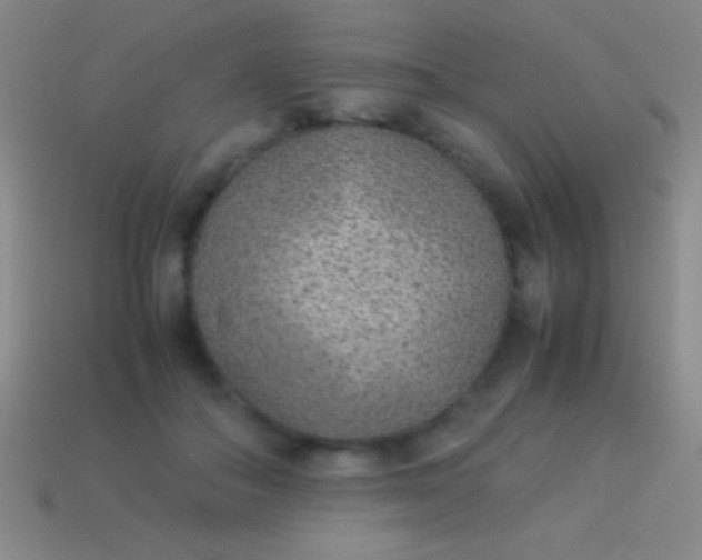 X0000114220506200910231446