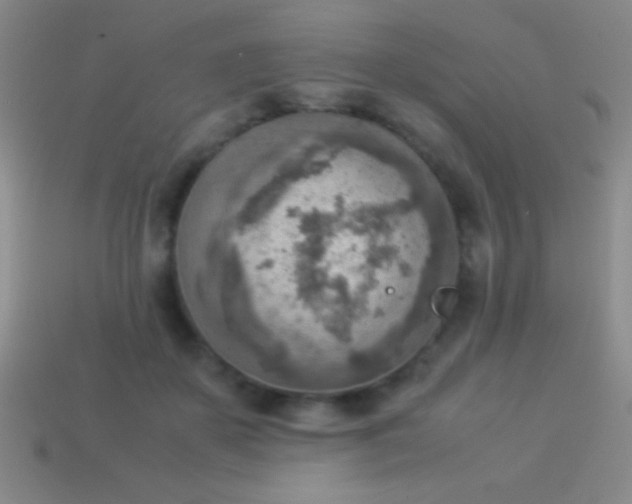 X0000114220507200910231446