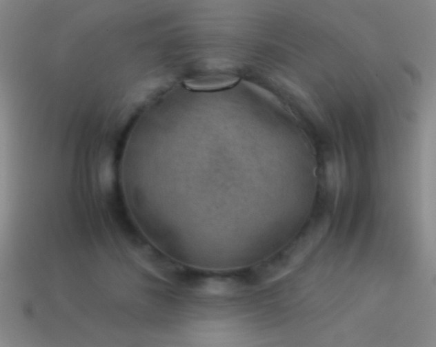 X0000114220508200910231446