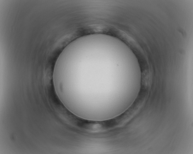 X0000114220509200910231446