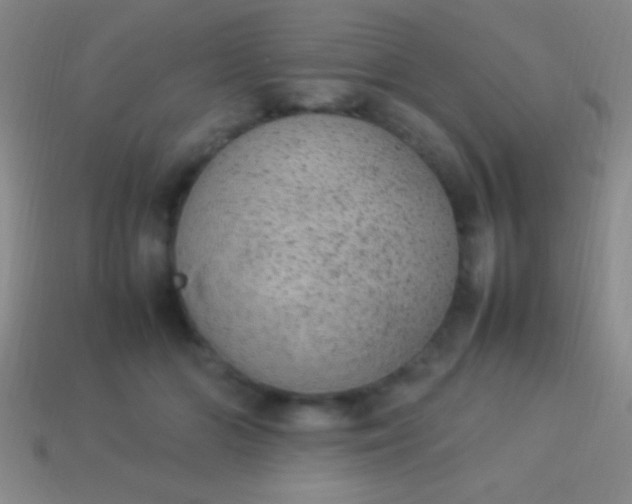 X0000114220510200910231446