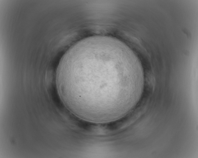 X0000114220511200910231446