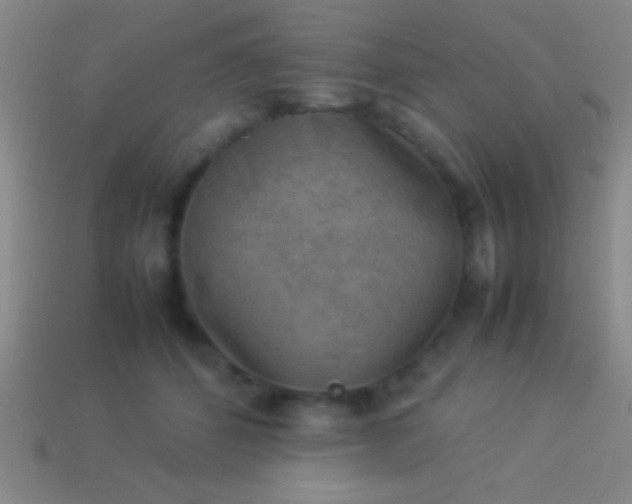 X0000114220512200910231446