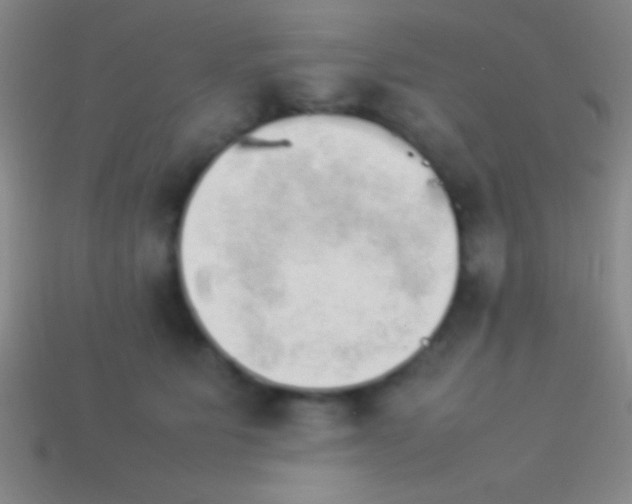 X0000114220515200910231446