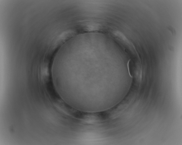 X0000114220516200910231446