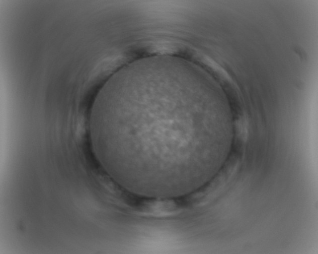 X0000114220517200910231446