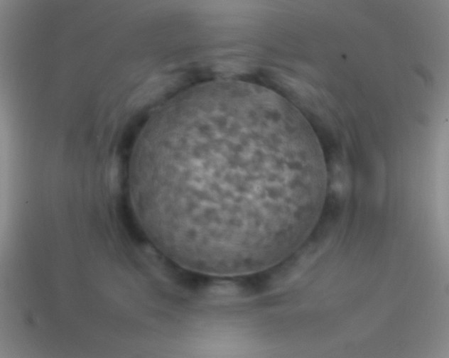 X0000114220519200910231446