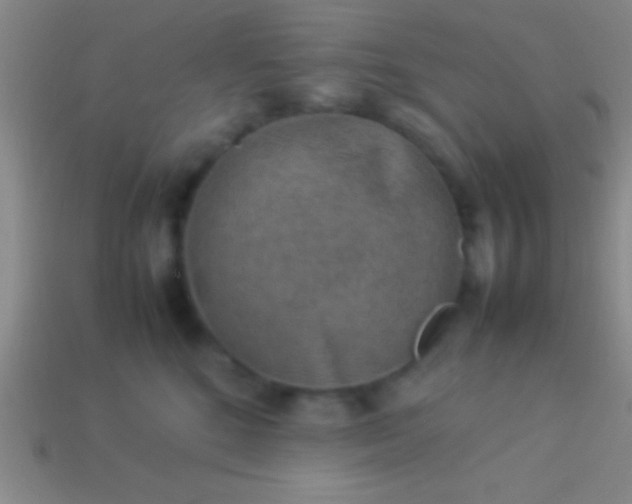 X0000114220520200910231446