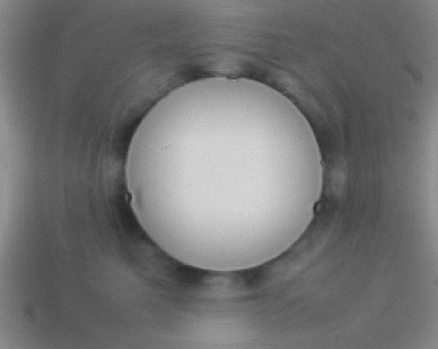 X0000114220521200910231446