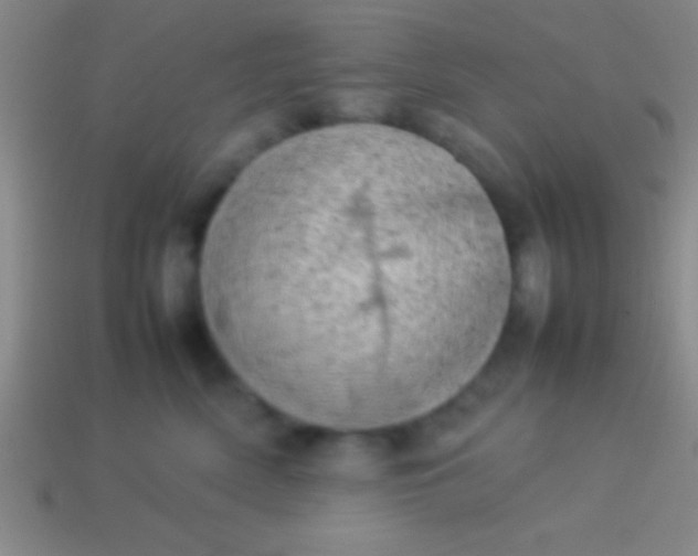 X0000114220522200910231446