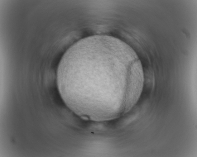 X0000114220523200910231446