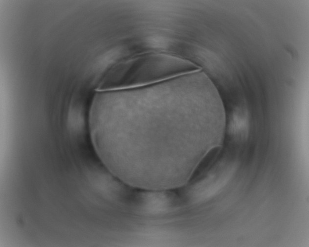 X0000114220524200910231446