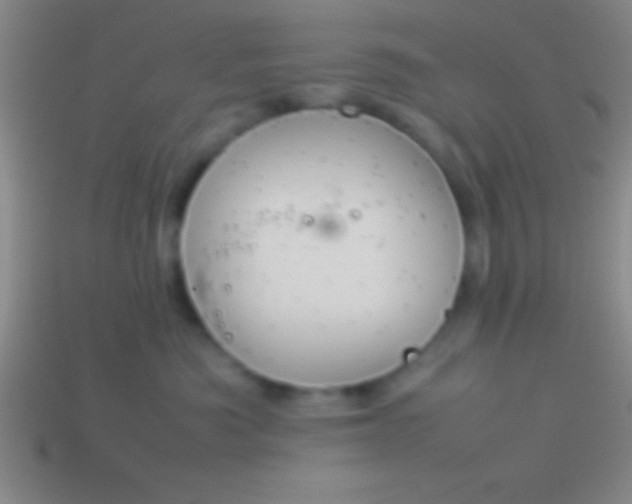 X0000114220525200910231445