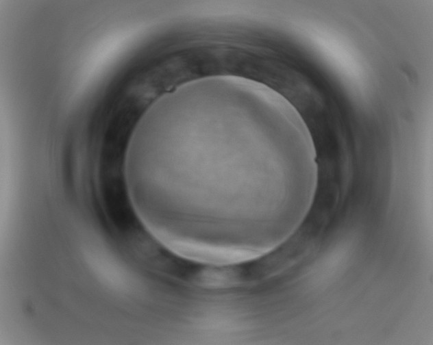 X0000114220526200910231445