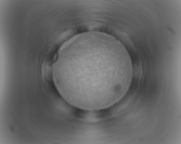 X0000114220527200910231445