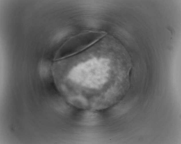 X0000114220528200910231445