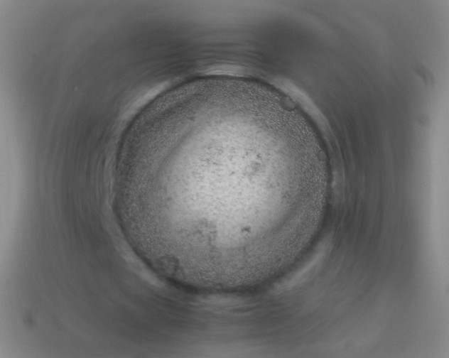 X0000114220529200910231445