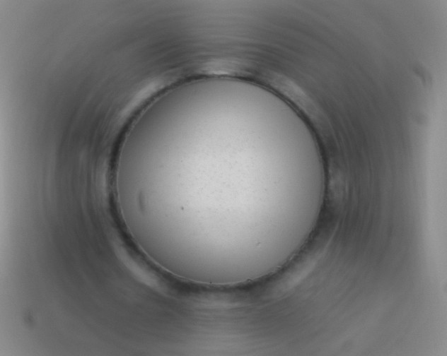 X0000114220530200910231445