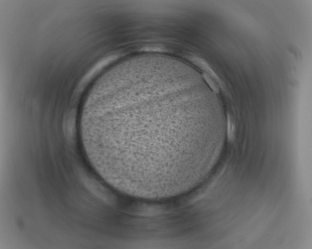 X0000114220531200910231445