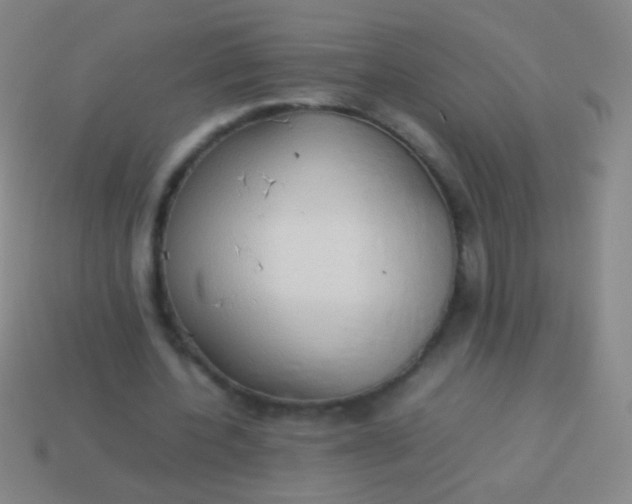 X0000114220532200910231445