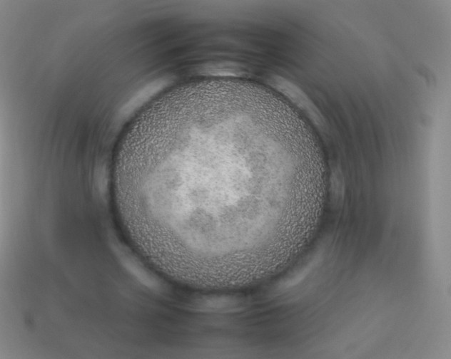 X0000114220533200910231445