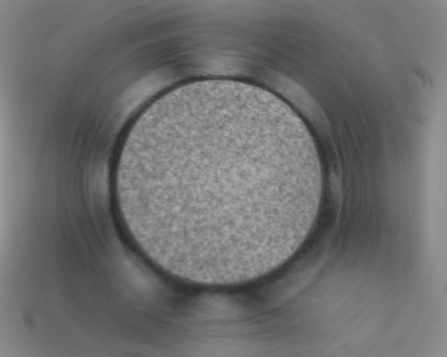 X0000114220534200910231445