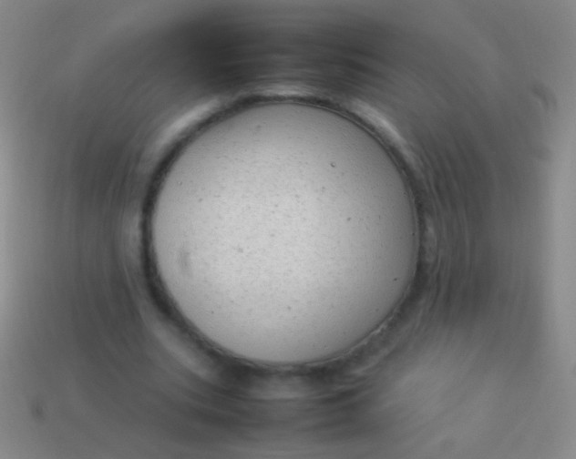 X0000114220535200910231445