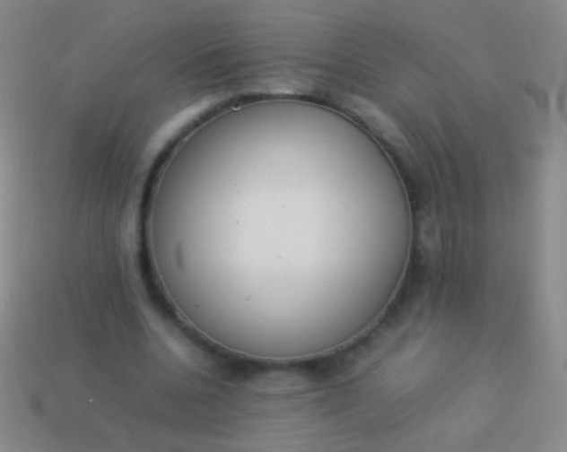 X0000114220536200910231445