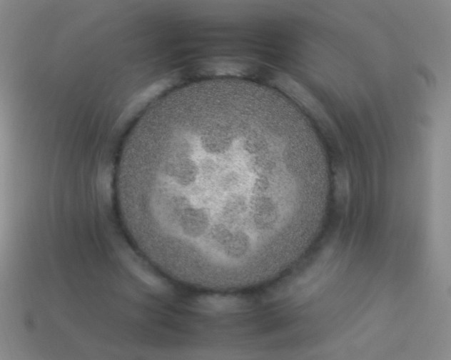 X0000114220537200910231445