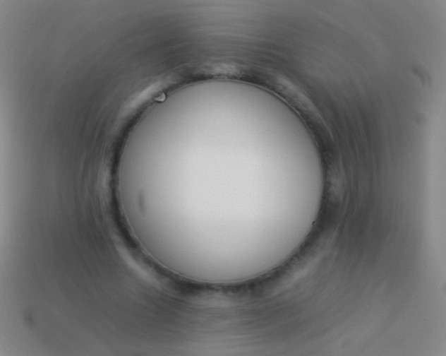 X0000114220538200910231445