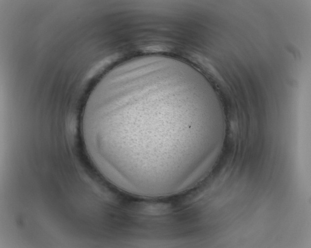 X0000114220539200910231445