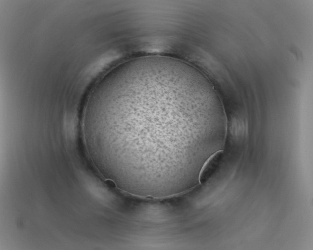 X0000114220540200910231445