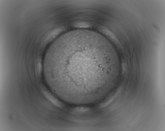 X0000114220541200910231445