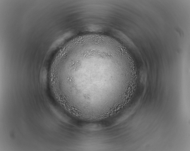 X0000114220542200910231445