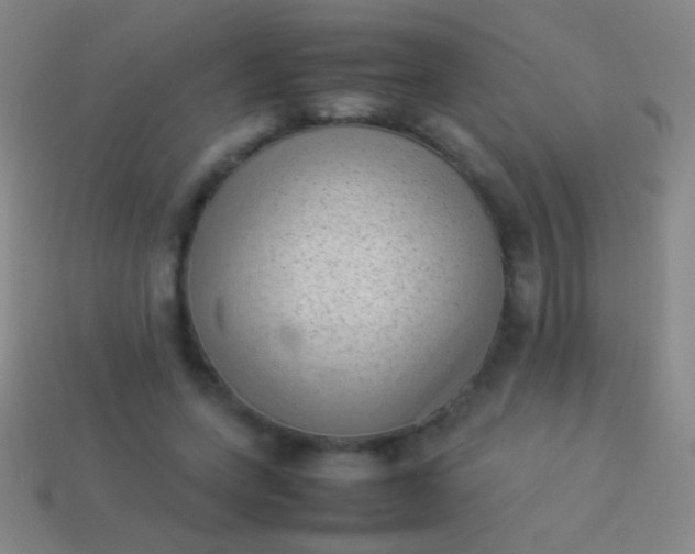 X0000114220543200910231445