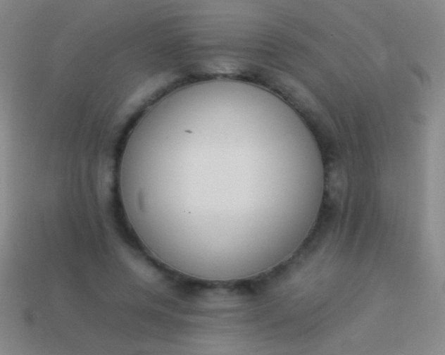 X0000114220544200910231445