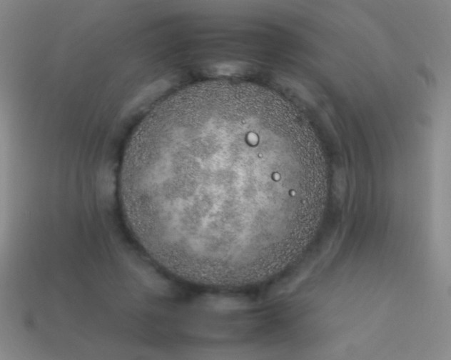 X0000114220545200910231445